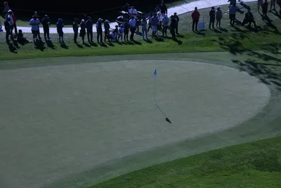 DSC_0737 (Large).JPG